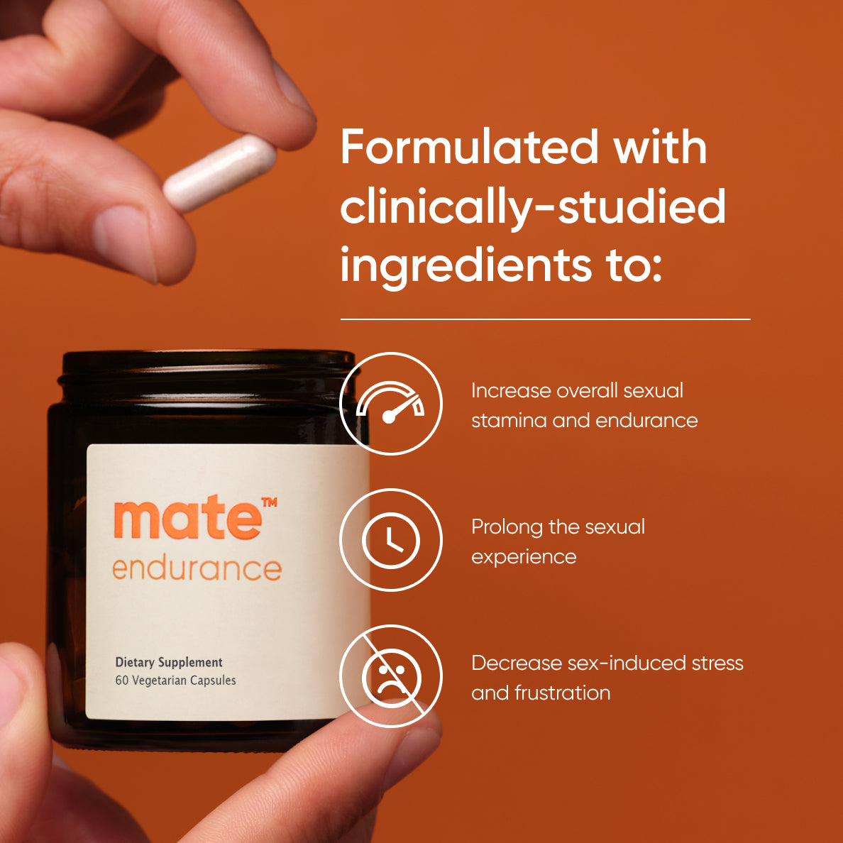 mate endurance LP